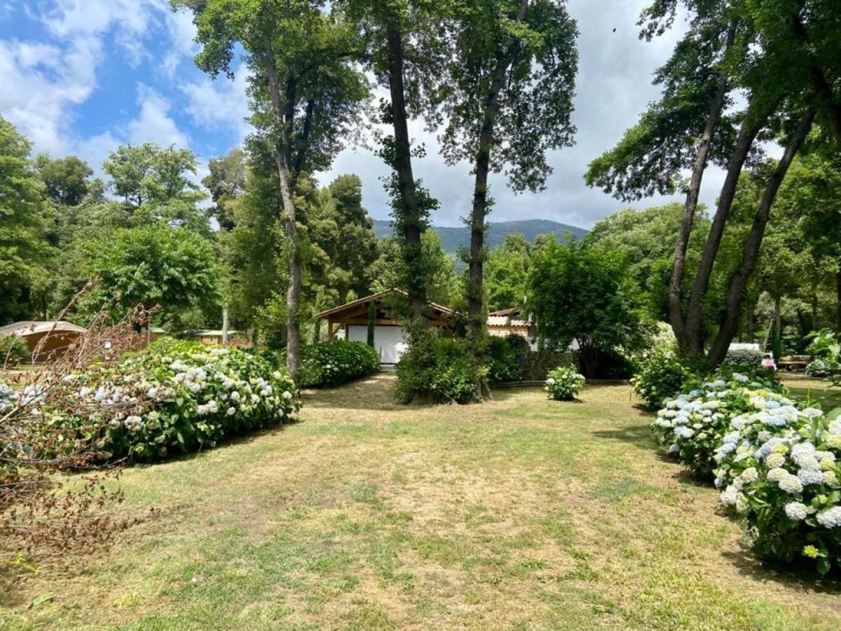 Camping Le Sagone Sagone  Exterior foto